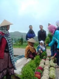 Keistimewaan dari bunga edelweis yaitu bunganya yang cantik dan memiliki bentuk unik. Dieng Wonosobo Pendidik Hobby Photografi