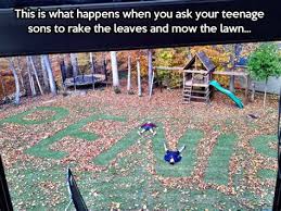 Check spelling or type a new query. Funny Mowing Grass Shefalitayal