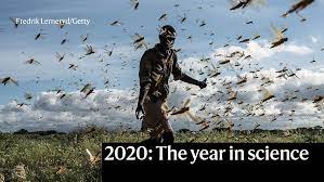 And the best picture oscar goes to. The Best Science Images Of 2020
