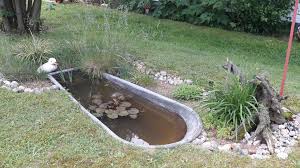 Kleiner Teich Aus Alter Zinkwanne Outdoor Dekorationen Garten Pflanzen Garten