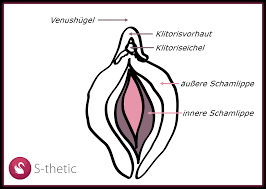 Im zusammenhang mit den berichten wurde in der ethnologischen literatur der ersten hälfte des 19. Schamhugelkorrektur S Thetic