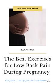 Pin On Physical Therapy