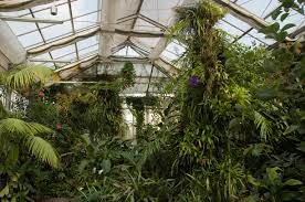 This place fits the bill. Botanicka Zahrada Mesto Chemnitz