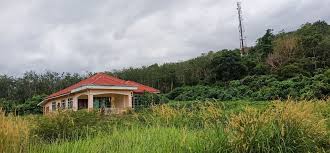 Kami adalah kumpulan pakar dalam jual beli tanah di malaysia. Tanah Pertanian Untuk Dijual Kampung Tanah Kampung For Sale Rm70 000 By Mimie Akma Edgeprop My