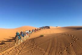 And not just any visit, but camel trekking in merzouga night in the desert is one of the best things to do in morocco. Overnight Camel Trekking Merzouga Morocco Camel Tours