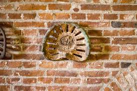 Pin En Le Pain Quotidien Distrito Arcos