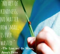 15 Wonderful Quotes About Life From Children S Books Quotes From Childrens Books Wonder Quotes Children Book Quotes
