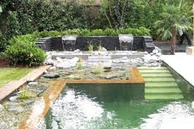 Cleaning a pond without draining is the least disruptive method when it comes to maintaining a healthy pond, as it allows the majority of the good bacteria although you don't need to remove every last bit, it is best to remove as much as possible to keep the nitrate level down (which in turn causes algae). Check Out How Natural Swimming Pools Use Aquatic Plants Rather Than Chemicals To Keep The Water Clean Natural Swimming Pools Natural Pool Swimming Pool Cost