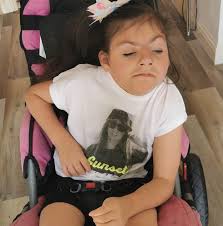 The Taylor Rose garden I was...