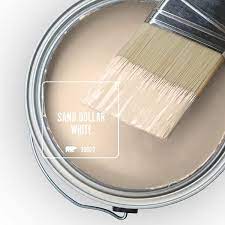 Behr Marquee 5 Gal 300c 2 Sand Dollar
