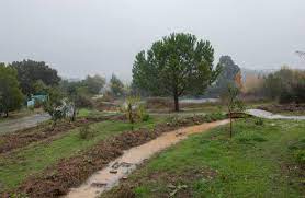 These are the words spoken by the renowned permaculturist and regenerative land designer, sepp holzer, when he first visited the community of tamera in southern portugal in 2007. Water Retention Landscape A Holistic And Regenerative Approach