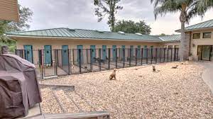 Welcome to bark avenue pet resort! Bark Avenue Pet Resort Jacksonville Fl Pet Services Youtube