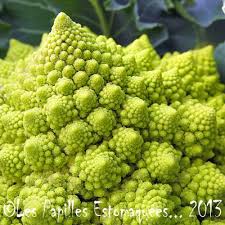 Chou Romanesco Que Faire Avec Les Papilles Estomaquees Les Papilles Estomaquees Chou Romanesco Chou Romanesco Recette Choux