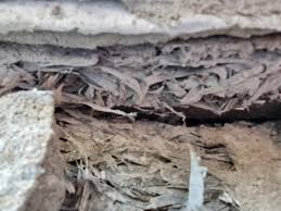 Image result for site:byggahus.se lotusan