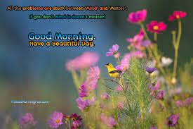 Here we share the 40 positive good morning quotes and pictures. Good Morning With Lovely Flower Quotes Good Morning Fun