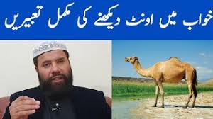 53 335 просмотров 53 тыс. Youtube Video Statistics For Khwab Mein Oont Dekhna Camel Dream Meaning Khwab Mein Oont Camel Dekhne Ki Tabeer Noxinfluencer