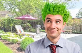 Spielgeräte für den garten unterstützen und fördern den bewegungsdrang und die entwicklung deiner kinder. Produkte Fur Garten Und Pflege Beuys Grunes Warenhaus