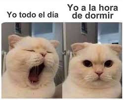 Alejandro Galue (galuealejandro819)