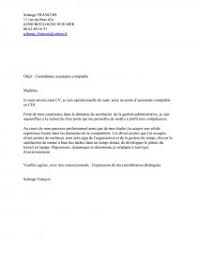 Il convient donc de respecter ces règles lorsque l'on postule pour décrocher un contrat. Lettre De Motivation Assistante Comptable Lettre Type Solange Francois