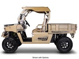 Image result for Arizona Beige 2025 Interceptor