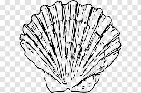 Did you scroll all this way to get facts about clam shell clipart? Seashell Clam Blue Clip Art Shell Outline Transparent Png