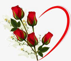 Rose Love Rose Flores Flores Png Y Psd Para Descargar Gratis Pngtree Red And White Roses Red Roses Rose Flower Wallpaper