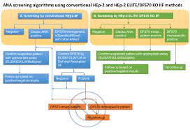 Simultaneous Distinction Of Monospecific And Mixed Dfs70 Patterns During Ana Screening With A Novel Hep 2 Elite Dfs70 Knockout Substrate Protocol Translated To German