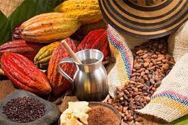 Explora el cacao colombiano y su riqueza en el país de la belleza
