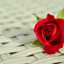 Ты для меня кайфуй мой никотин. Lirik Lagu Sesungguhnya Aku Alif Satar