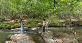 Grounding and Intention Setting Meditation