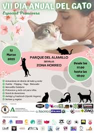 VII Día Anual del Gato · Blog Gatas Salvajes