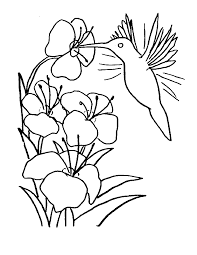 Show your kids a fun way to learn the abcs with alphabet printables they can color. Free Printable Hummingbird Coloring Pages For Kids