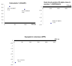 Enter a chemical equation to balance: Cells Free Full Text Post Translational Modification Networks Of Contractile And Cellular Stress Response Proteins In Bladder Ischemia Html