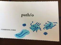 Check out these flashcards to supplement your study of this area in preparation for a medical assistant test. Medical Terminology Flashcards Paper Flashcards Faculty Tips