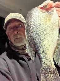 Kentucky Lake Panfishing