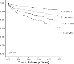 Image result for Duke Activity Status Index