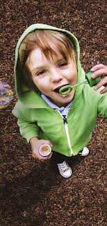 Bijzondere rietschermen