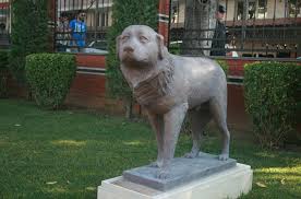 Istanbul Aydin In Hachiko Su Istanbul Aydin Universitesi