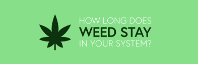 How Long Does Weed Stay In Your System Adt Healthcare