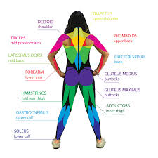 Just tutorial from internet =)) body reference drawing, figure reference,. Fitness All Guides Center For Young Women S Health