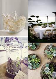 5,365 likes · 62 talking about this · 40 were here. Centros De Mesa Para Bodas En La Playa Cactus Y Suculentas