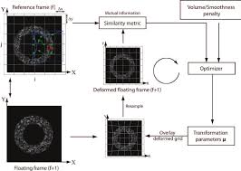 Introduction To Rigid Motions | Ck-12 Foundation
