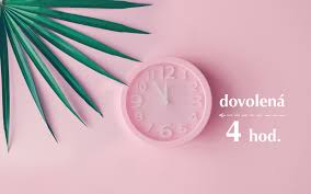 Stávající dovolená na záložce dovolená převedena do oddílu dovolená ve dnech do polí stará, čerpáno a zbývající (obr. Poradna Jak Se Novela Zakoniku Prace Dotkne Sdilenych Mist A Dovolenych