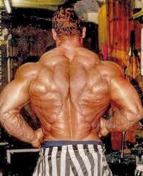 Dorian yates nutrition has an amazing protein tart recipe sprinkled with a 20% discount for all the dy products. Running Solutions Dorian Yates And His Christmas Tree Back