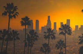 125 Best Los Angeles Quotes To Inspire Your Trip To The City Of Angels In 2022 The Wanderlust Within