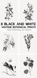Free Black And White Vintage Botanical Prints Free Wall Art Black And White Wall Art Free Printable Wall Art
