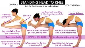 Standinghead To Knee Bikram Yoga Ormond Beach Bikram Yoga Bikram Yoga Poses Yoga