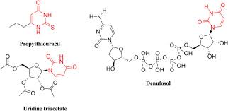 Image result for Propylthiouracil