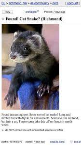 19 Craigslist Funnies Ideas Craigslist Funny Craigslist Funny