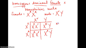 Multiple alleles all traits discussed so far have been controlled by a single pair of alleles. Sex Linked Traits And Multiple Alleles Youtube